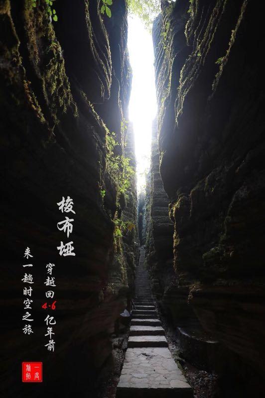 球球大作战下载最新版
