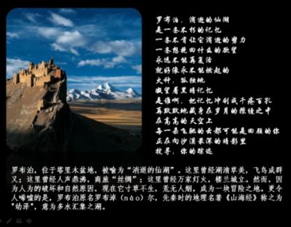 梨韵风雅浸书香