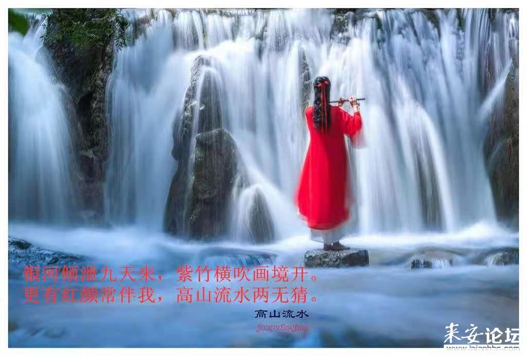 我的王朝