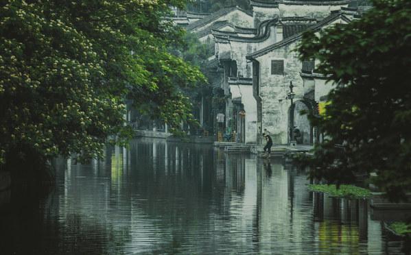 救援卡通老虎